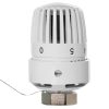 Термоголовка жидкостная Royal Thermo BASIC с выносным датчиком М30х1,5 — изображение 3